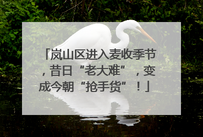 岚山区进入麦收季节，昔日“老大难”，变成今朝“抢手货”！