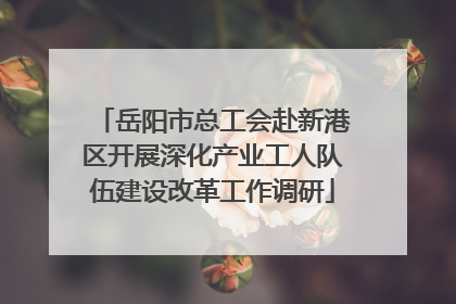 岳阳市总工会赴新港区开展深化产业工人队伍建设改革工作调研