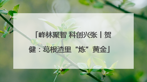 峰林聚智 科创兴张丨贺健：葛根渣里“炼”黄金