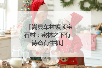 嵩县车村镇顶宝石村：密林之下有诗意有生机