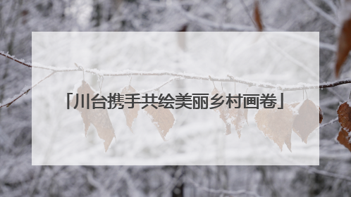 川台携手共绘美丽乡村画卷
