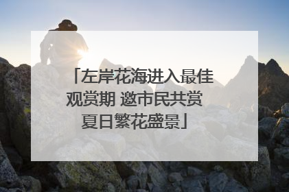 左岸花海进入最佳观赏期 邀市民共赏夏日繁花盛景