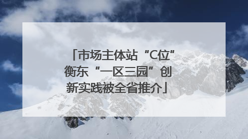 市场主体站“C位” 衡东“一区三园”创新实践被全省推介
