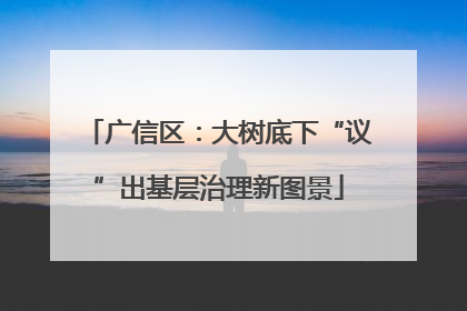 广信区：大树底下“议”出基层治理新图景