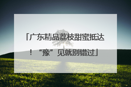 广东精品荔枝甜蜜抵达！“豫”见就别错过