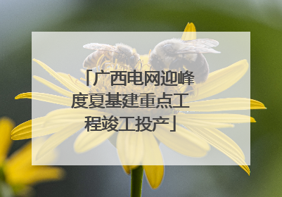 广西电网迎峰度夏基建重点工程竣工投产