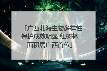 广西北海生物多样性保护成效明显 红树林面积居广西首位