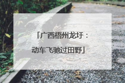 广西梧州龙圩：动车飞驰过田野