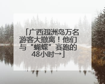 广西涠洲岛万名游客大撤离！他们与“蝴蝶”赛跑的48小时→