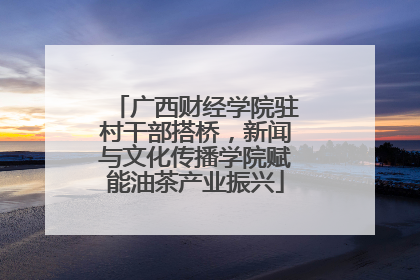 广西财经学院驻村干部搭桥，新闻与文化传播学院赋能油茶产业振兴