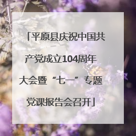 平原县庆祝中国共产党成立104周年大会暨“七一”专题党课报告会召开