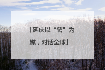 延庆以“薯”为媒，对话全球