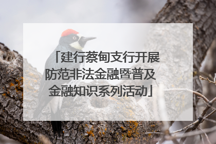 建行蔡甸支行开展防范非法金融暨普及金融知识系列活动