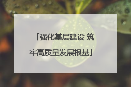 强化基层建设 筑牢高质量发展根基