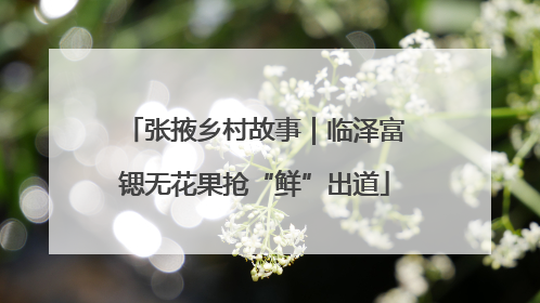 张掖乡村故事｜临泽富锶无花果抢“鲜”出道