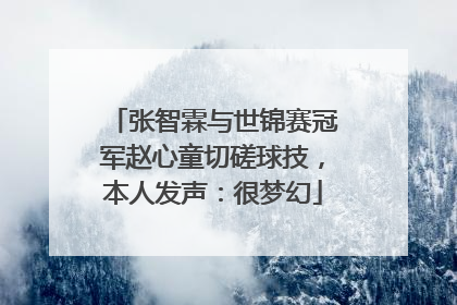 张智霖与世锦赛冠军赵心童切磋球技，本人发声：很梦幻
