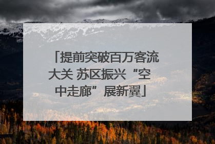 提前突破百万客流大关 苏区振兴“空中走廊”展新翼