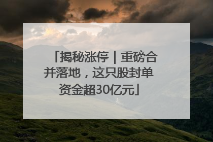 揭秘涨停｜重磅合并落地，这只股封单资金超30亿元