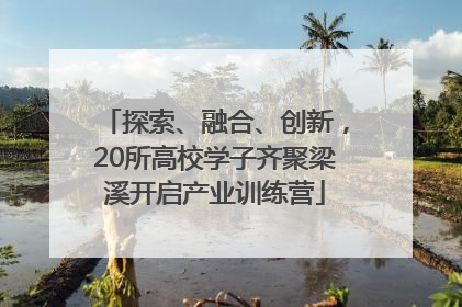 探索、融合、创新，20所高校学子齐聚梁溪开启产业训练营