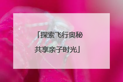 探索飞行奥秘 共享亲子时光