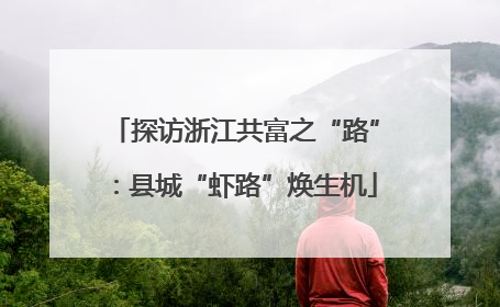 探访浙江共富之“路”：县城“虾路”焕生机