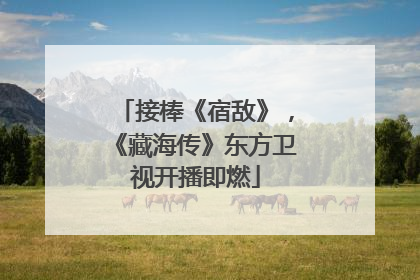 接棒《宿敌》，《藏海传》东方卫视开播即燃