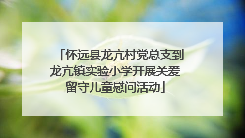 怀远县龙亢村党总支到龙亢镇实验小学开展关爱留守儿童慰问活动