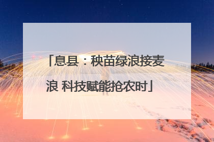 息县：秧苗绿浪接麦浪 科技赋能抢农时