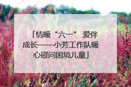 情暖“六一” 爱伴成长——小芳工作队暖心慰问困境儿童