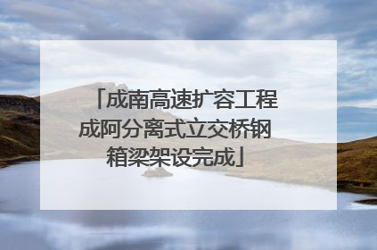 成南高速扩容工程成阿分离式立交桥钢箱梁架设完成