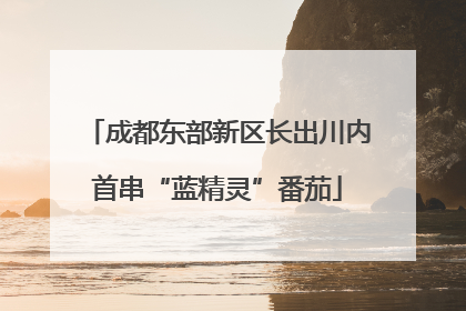 成都东部新区长出川内首串“蓝精灵”番茄