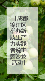 成都锦江区举办新质生产力实践者说主题沙龙活动