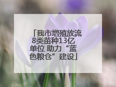 我市增殖放流8类苗种13亿单位 助力“蓝色粮仓”建设