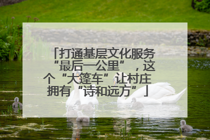 打通基层文化服务“最后一公里”，这个“大篷车”让村庄拥有“诗和远方”