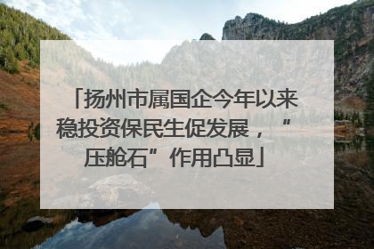 扬州市属国企今年以来稳投资保民生促发展，“压舱石”作用凸显