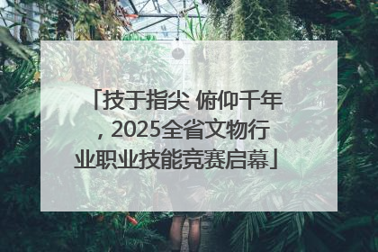 技于指尖 俯仰千年，2025全省文物行业职业技能竞赛启幕