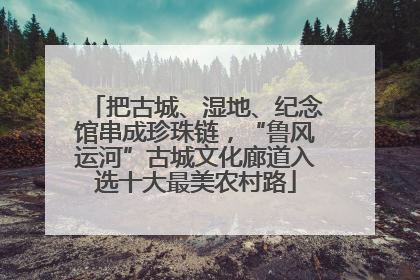 把古城、湿地、纪念馆串成珍珠链，“鲁风运河”古城文化廊道入选十大最美农村路