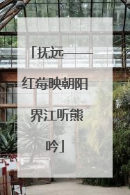 抚远——红莓映朝阳 界江听熊吟