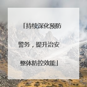 持续深化预防警务，提升治安整体防控效能