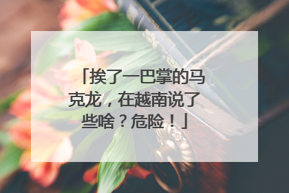 挨了一巴掌的马克龙，在越南说了些啥？危险！