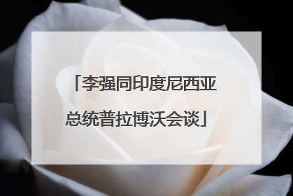 李强同印度尼西亚总统普拉博沃会谈
