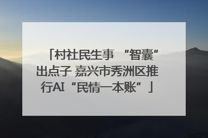 村社民生事 “智囊”出点子 嘉兴市秀洲区推行AI“民情一本账”