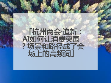 杭州两会·追新：AI如何让消费突围？场景和路径成了会场上的高频词