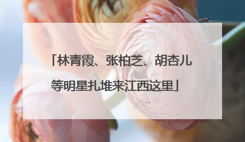 林青霞、张柏芝、胡杏儿等明星扎堆来江西这里
