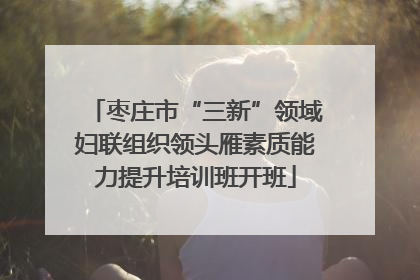 枣庄市“三新”领域妇联组织领头雁素质能力提升培训班开班
