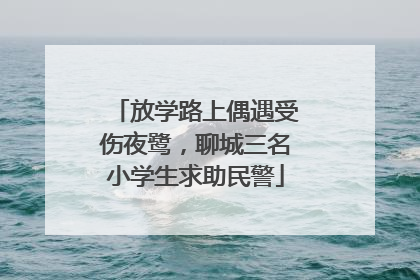 放学路上偶遇受伤夜鹭，聊城三名小学生求助民警