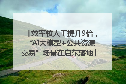 效率较人工提升9倍，“AI大模型+公共资源交易”场景在启东落地