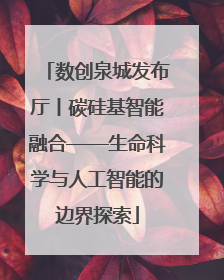 数创泉城发布厅丨碳硅基智能融合——生命科学与人工智能的边界探索