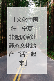 文化中国行｜宁夏 非遗展演让静态文化遗产“活”起来