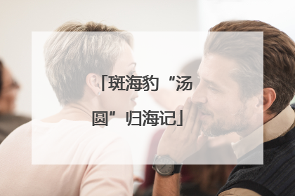 斑海豹“汤圆”归海记